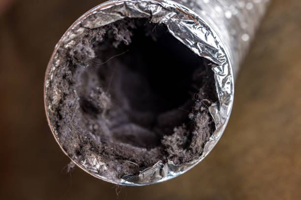 Best Local Air Duct Cleaning Services  in West Glendive, MT